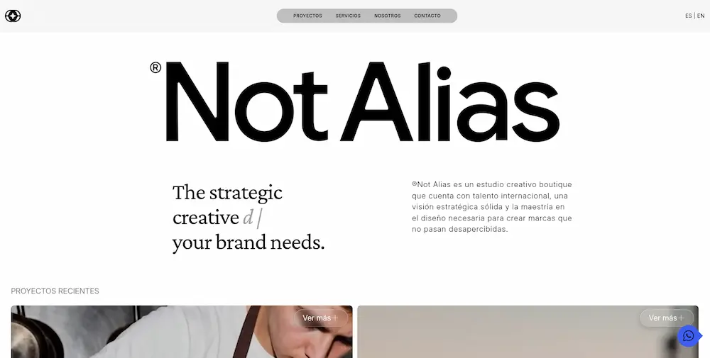 Sitio web de Not Alias desarrollado por Rizcode